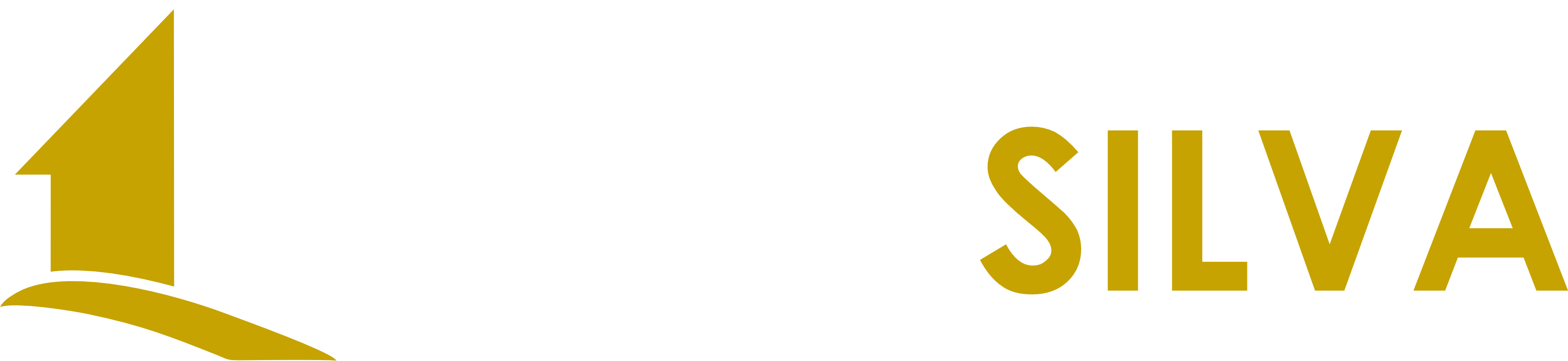 Logo Juan Silva